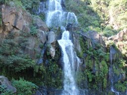 Vis et Lutz : Nos premiers visiteurs !